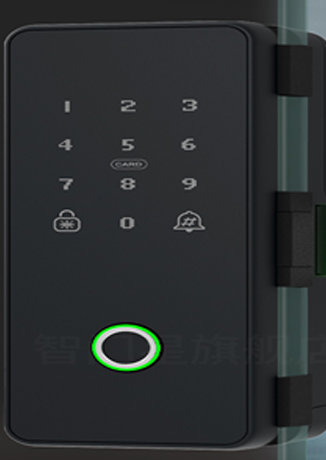 smart door lock